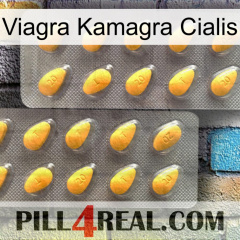 Viagra Kamagra Cialis cialis2